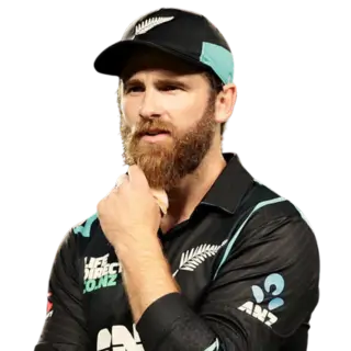 Kane Williamson Kiwis Squad Captain
